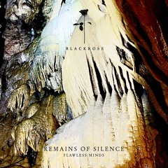 Remains Of Silence - Flawless Minds (Original Mix)