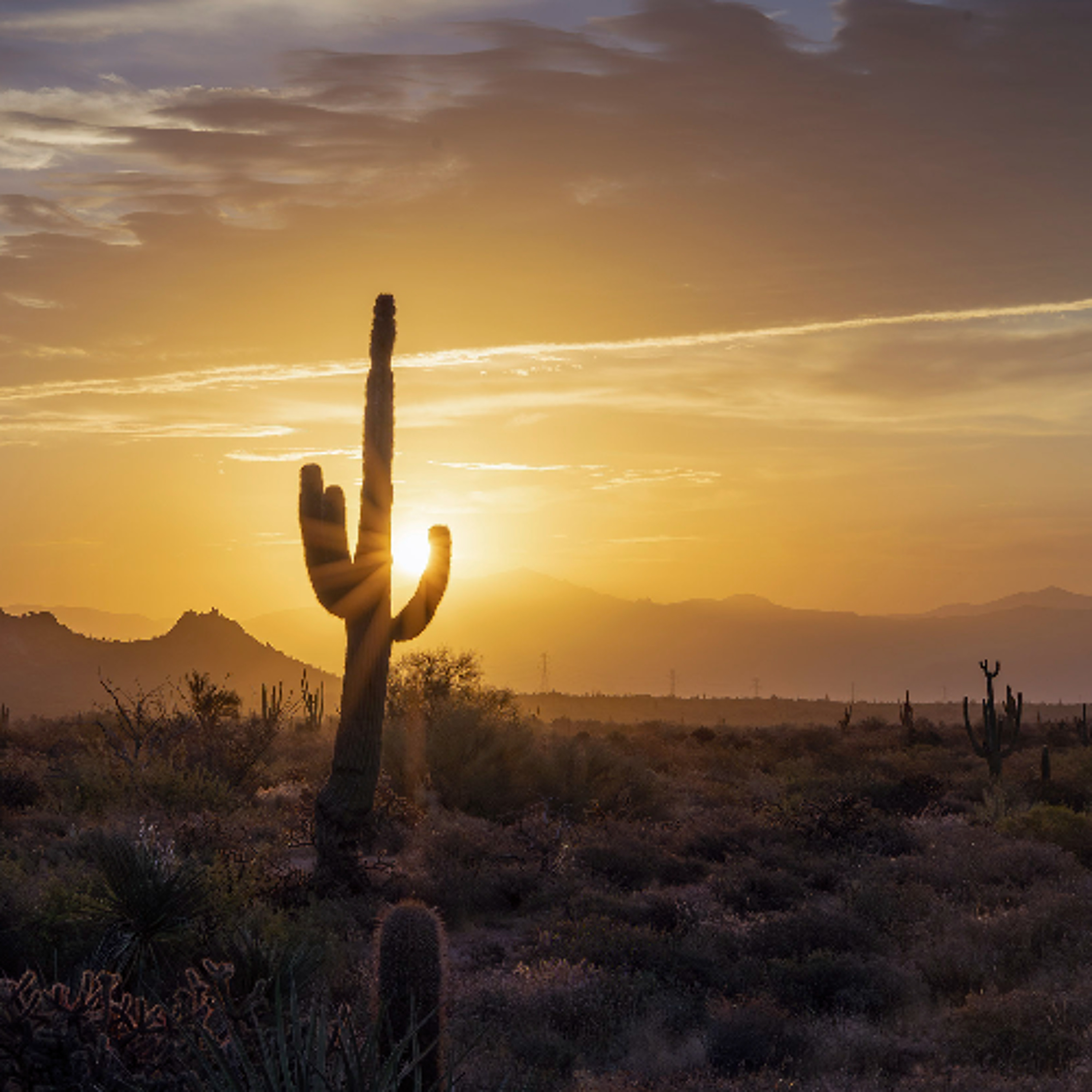 New Climate Champion in Congress, Montana Climate Win, Last Call to Biden for Environmental Justice and more episode artwork