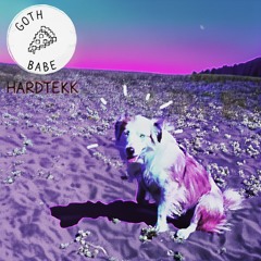 WEEKEND FRIEND HARDTEKK