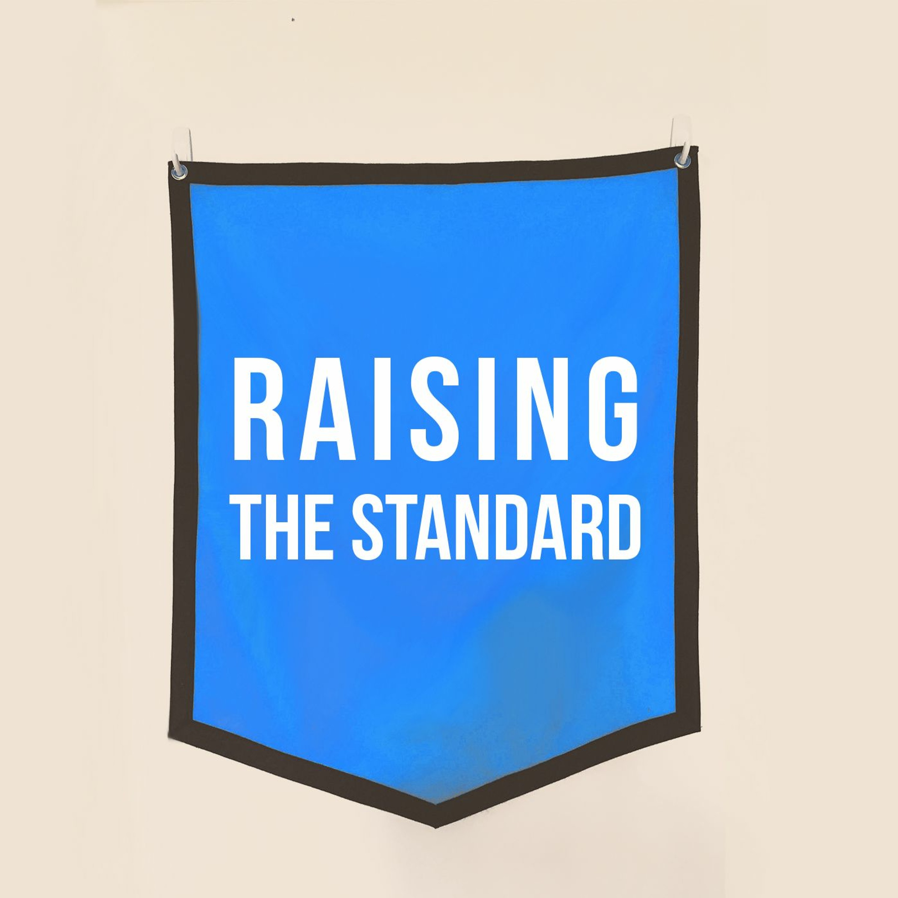 Raising the Standard episode artwork