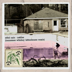 nettles - ethel cain (tennessee whiskey kittenhouse remix)