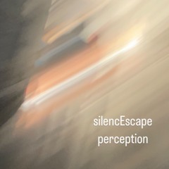 perception