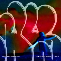 meltdown 39 - bassc-amp (live @ whitvoir at the convent)