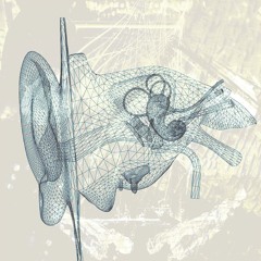 The Bones In My Ears