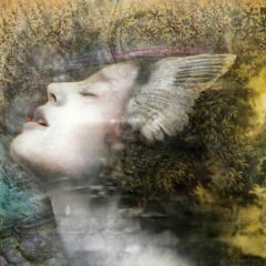 acacia - mi yo intuitiva
