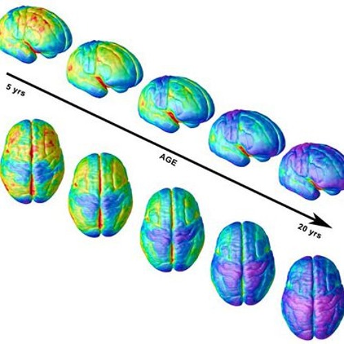 #251 Critical Thinking for Everyone! | Brain Development | December 4, 2025