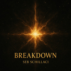 Seb Schillaci - Breakdown ( Radio mix )