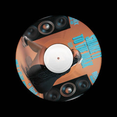 Shake It To The Max [FLY] [MOLIY & Silent Addy] Josh Bary Remix