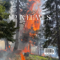 Up In Flames