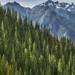 DJ DIALS OPENING FOR ROYKSOPP AT REGENCY