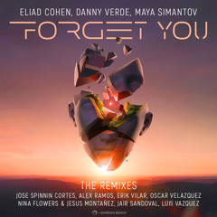 Forget You (Erik Vilar Remix)