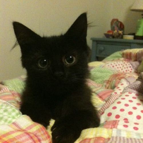 kkamii* - #notmyproblem // ( ( mixx ) ) // #😒#👌