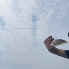 imagine fake adidas drying on the sand