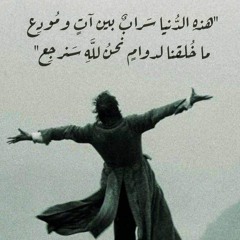 سوفَ يمضي بنا مركبٌ للوداع. عمر ضياء الدين
