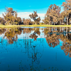 Stay Out  (feat. maybe_vincent)