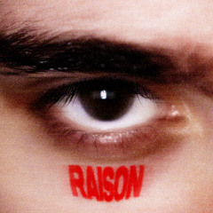 RAISON