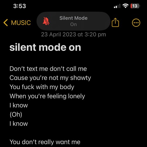 silent mode on (prod. lxstghxul)