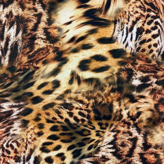 Choppazay - Cheetah Print (fmj)