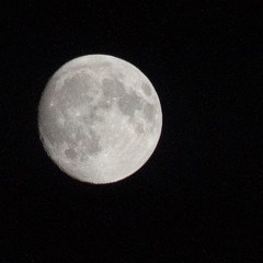 molly (marekova verzia)