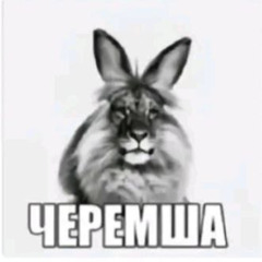 капустес jerk ъэ толя спецназ