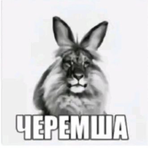капустес jerk ъэ толя спецназ