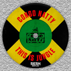 SESH - JUNGLIST BOOTLEG (FREE DOWNLOAD)