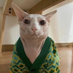 sell.app scammed me out of 8.99 usd