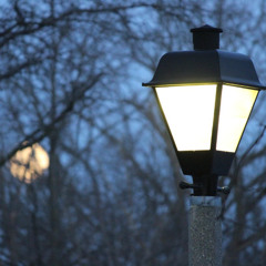 Cinema Tonight - From Antonioni to Malick - July 17, 2025