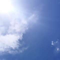 las flores se lanzan al mar