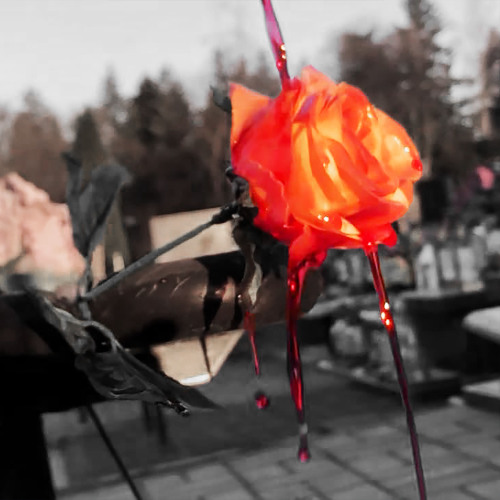 the day i fell in love with you [nightiger]