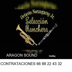 Che Corrido Marito (En Vivo)