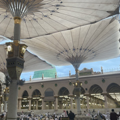الفصل التاسع «في التوسل بالنبي ﷺ» من البردة الشريفة