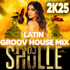 DJ SHULLE LATIN GROOV HOUSE MIX JANUAR 2K25