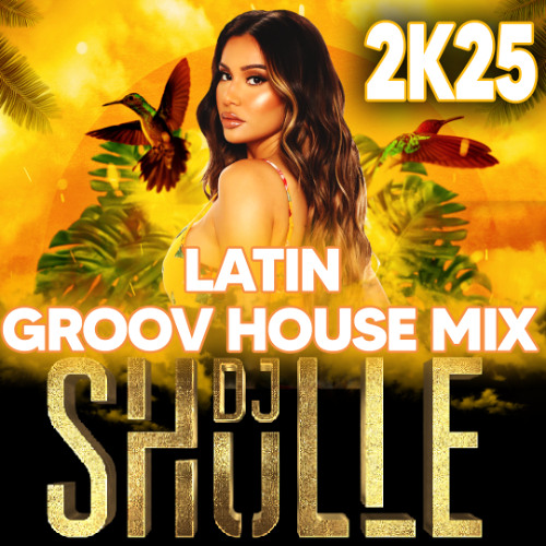 DJ SHULLE LATIN GROOV HOUSE MIX JANUAR 2K25