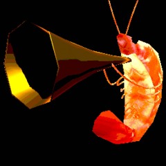 shrimp duet