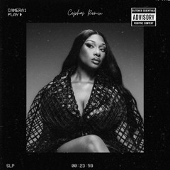 Megan Thee Stallion - Sex Talk (Cephas Remix)