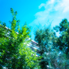 Beautiful days