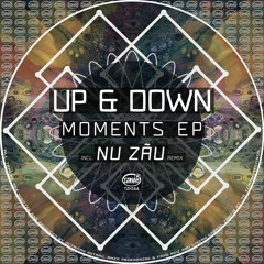 Up & Down - Moments EP [TZH164] incl. Nu Zau