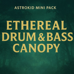 Ethereal Drum & Bass Canopy - Track 03