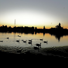Near the water, close to feeling