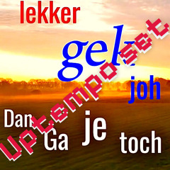 dan ga je toch lekker gek joh - uptempo set