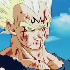 I am… the most powerful warrior in the universe… Vegeta. Saiyan pride.