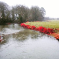 At the Water's Edge