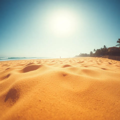 Walking down the shoreline
