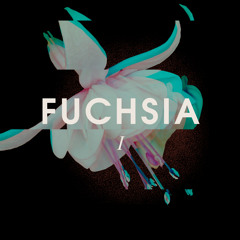 Fuchsia I (ambient version)