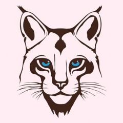 SPORT CAMPUS - LES LYNXS (équipe de Rugby F Inter-U)