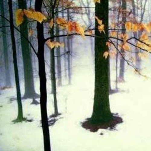 Lay awake - Forgot my password...