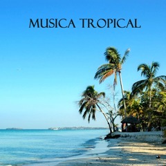 Steel Drum Music for Caribbean Parties