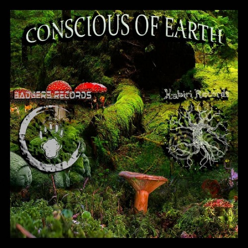Methodic Marble - Free World Va/ Conscious of earth  Kabiri Records & Badgers rec