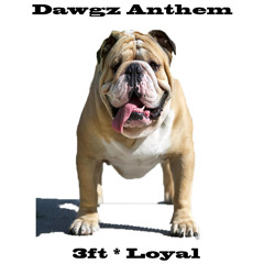 Dawgs Anthem